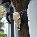 Product carousel Indicator