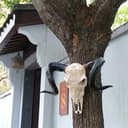 Product carousel Indicator