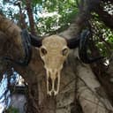 Product carousel Indicator