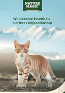 Product carousel Indicator