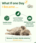 Product carousel Indicator