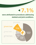 Product carousel Indicator